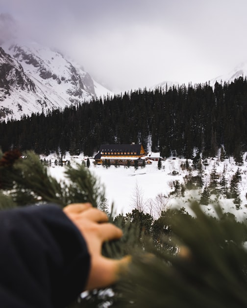 Snowmobiling Adventures Await You