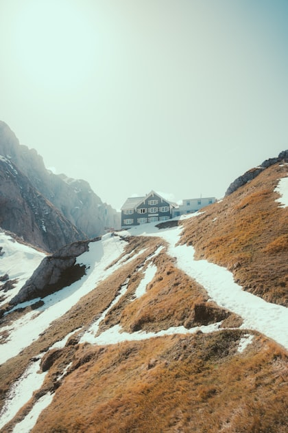 Top Hunting Trips for Adventure Seekers